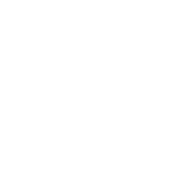 Icon of case